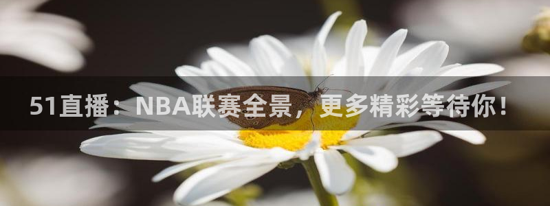 51直播：NBA联赛全景，更多精彩等待你！