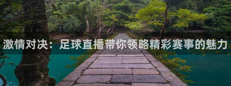 激情对决：足球直播带你领略精彩赛事的魅力