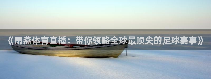 《雨燕体育直播：带你领略全球最顶尖的足球赛事》
