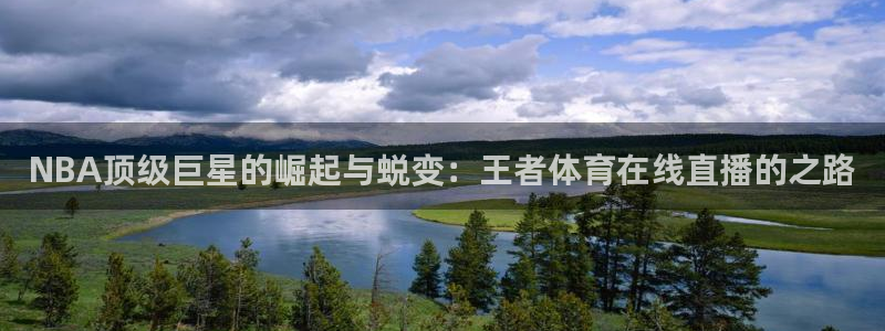NBA顶级巨星的崛起与蜕变：王者体育在线直播的之路