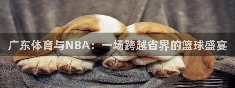 广东体育与NBA：一场跨越省界的篮球盛宴