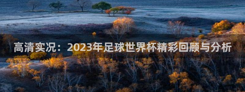 高清实况：2023年足球世界杯精彩回顾与分析