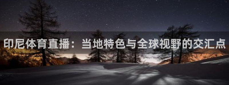 印尼体育直播：当地特色与全球视野的交汇点