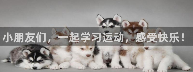 小朋友们，一起学习运动，感受快乐！