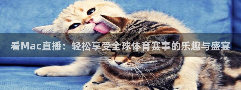 看Mac直播：轻松享受全球体育赛事的乐趣与盛宴