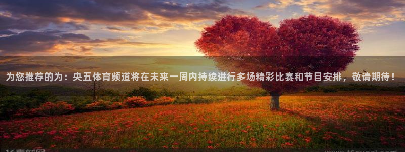 为您推荐的为：央五体育频道将在未来一周内持续进行多场精彩比赛和节目安排，敬请期待！