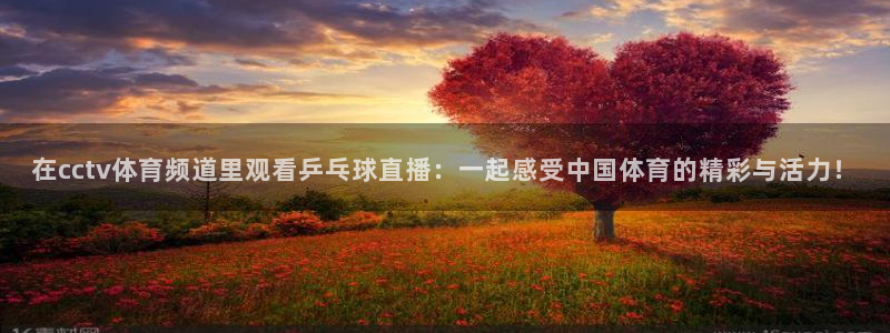 在cctv体育频道里观看乒乓球直播：一起感受中国体育的精彩与活力！