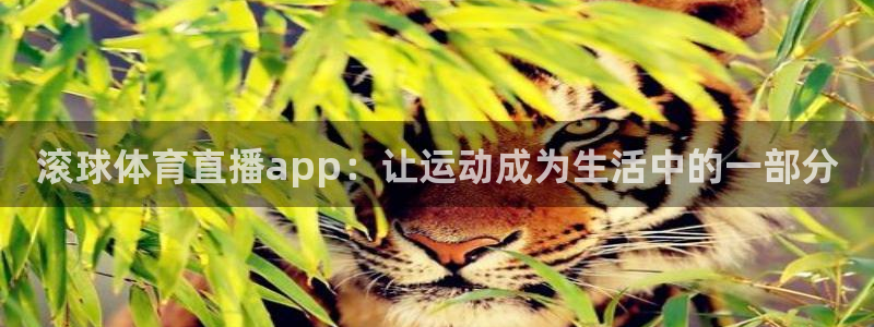 滚球体育直播app：让运动成为生活中的一部分