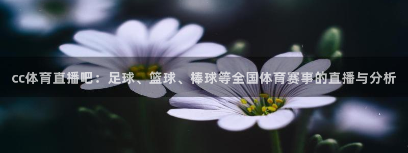 cc体育直播吧：足球、篮球、棒球等全国体育赛事的直播与分析