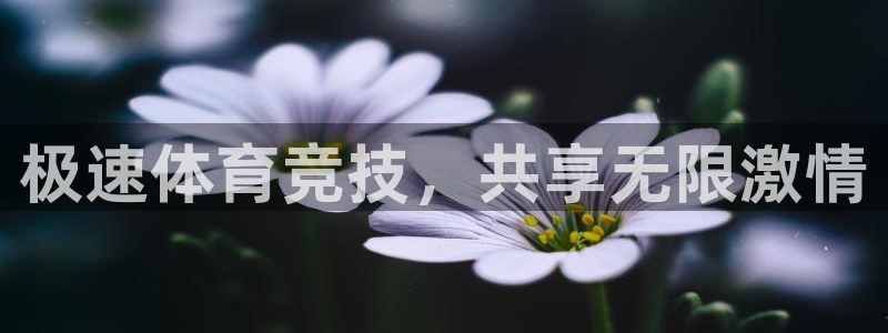 极速体育竞技，共享无限激情