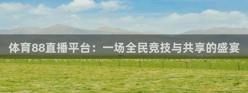 体育88直播平台：一场全民竞技与共享的盛宴