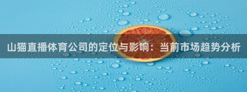 山猫直播体育公司的定位与影响：当前市场趋势分析