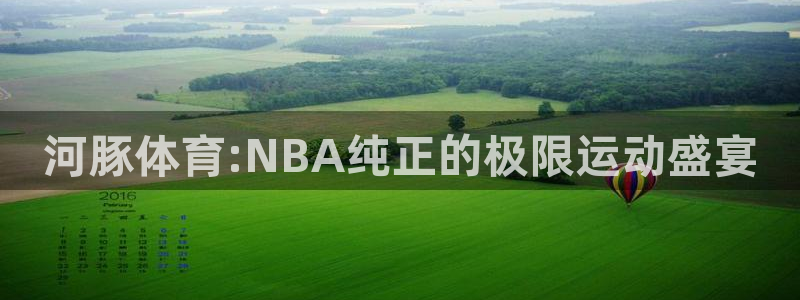 河豚体育:NBA纯正的极限运动盛宴