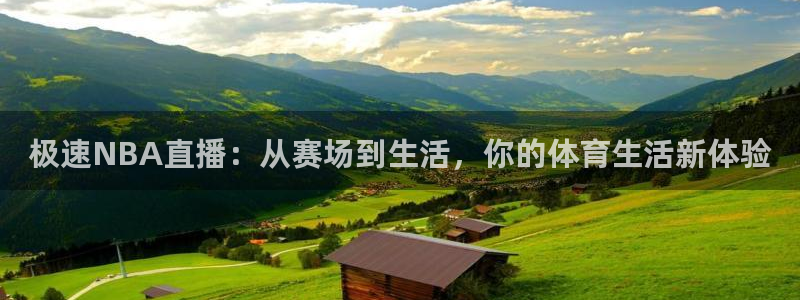 极速NBA直播：从赛场到生活，你的体育生活新体验
