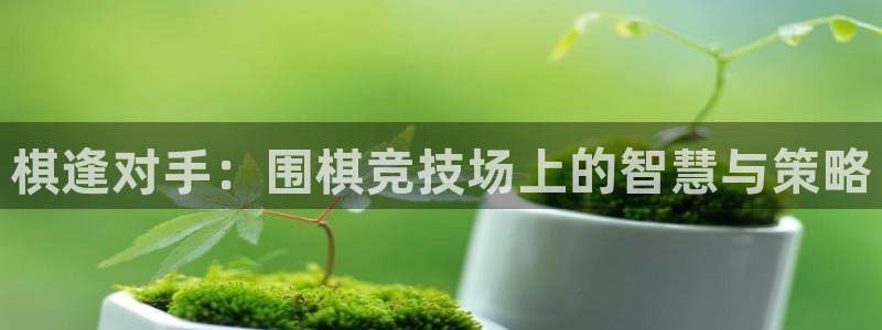 棋逢对手：围棋竞技场上的智慧与策略