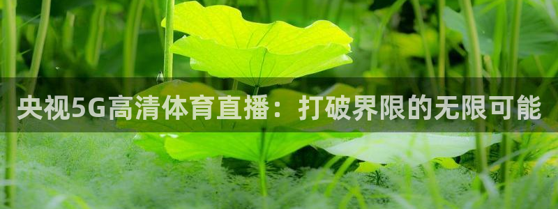 央视5G高清体育直播：打破界限的无限可能