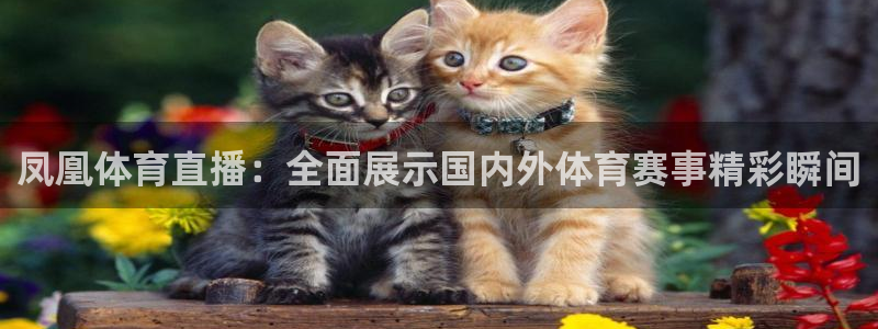 凤凰体育直播：全面展示国内外体育赛事精彩瞬间