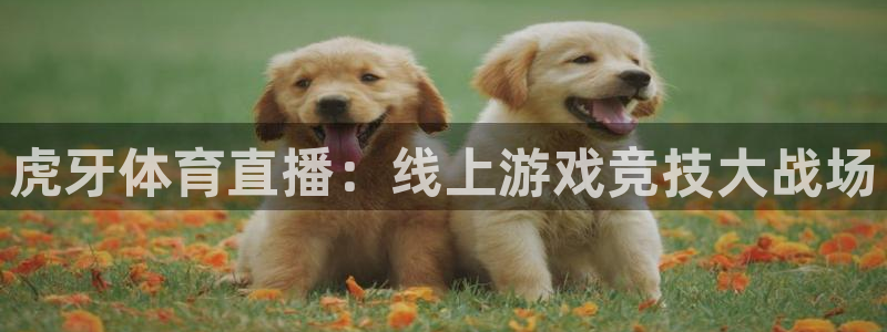 虎牙体育直播：线上游戏竞技大战场