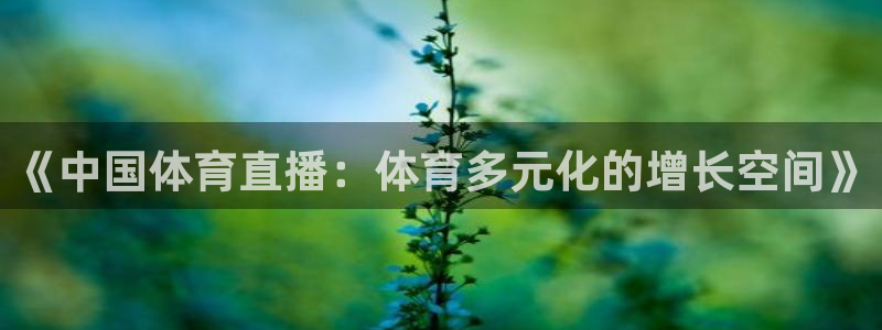 《中国体育直播：体育多元化的增长空间》