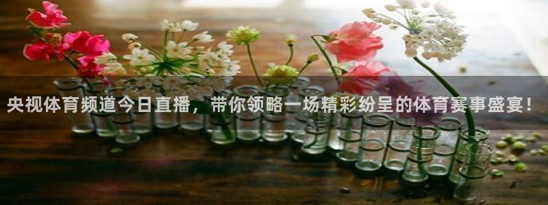 央视体育频道今日直播，带你领略一场精彩纷呈的体育赛事盛宴！