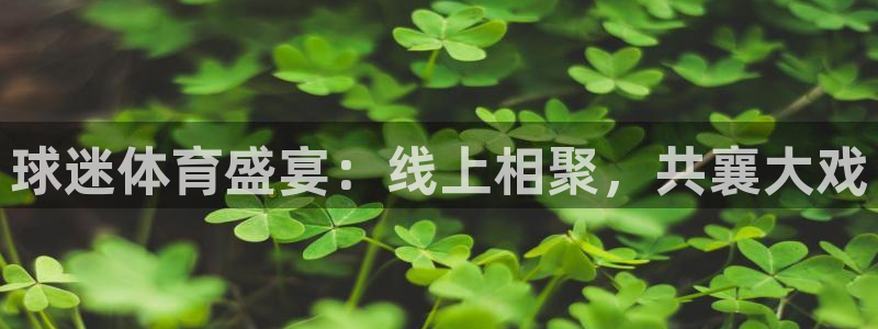 球迷体育盛宴：线上相聚，共襄大戏