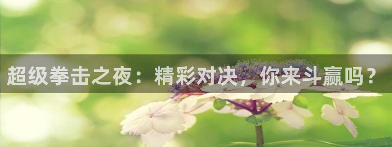 超级拳击之夜：精彩对决，你来斗赢吗？