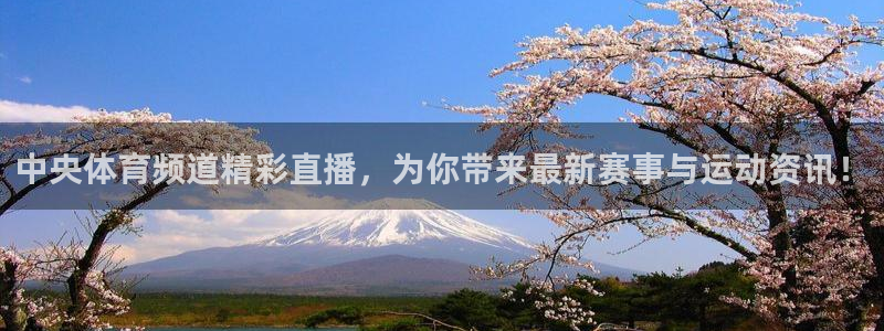 中央体育频道精彩直播，为你带来最新赛事与运动资讯！